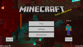 Bedrock 1.16.220.png